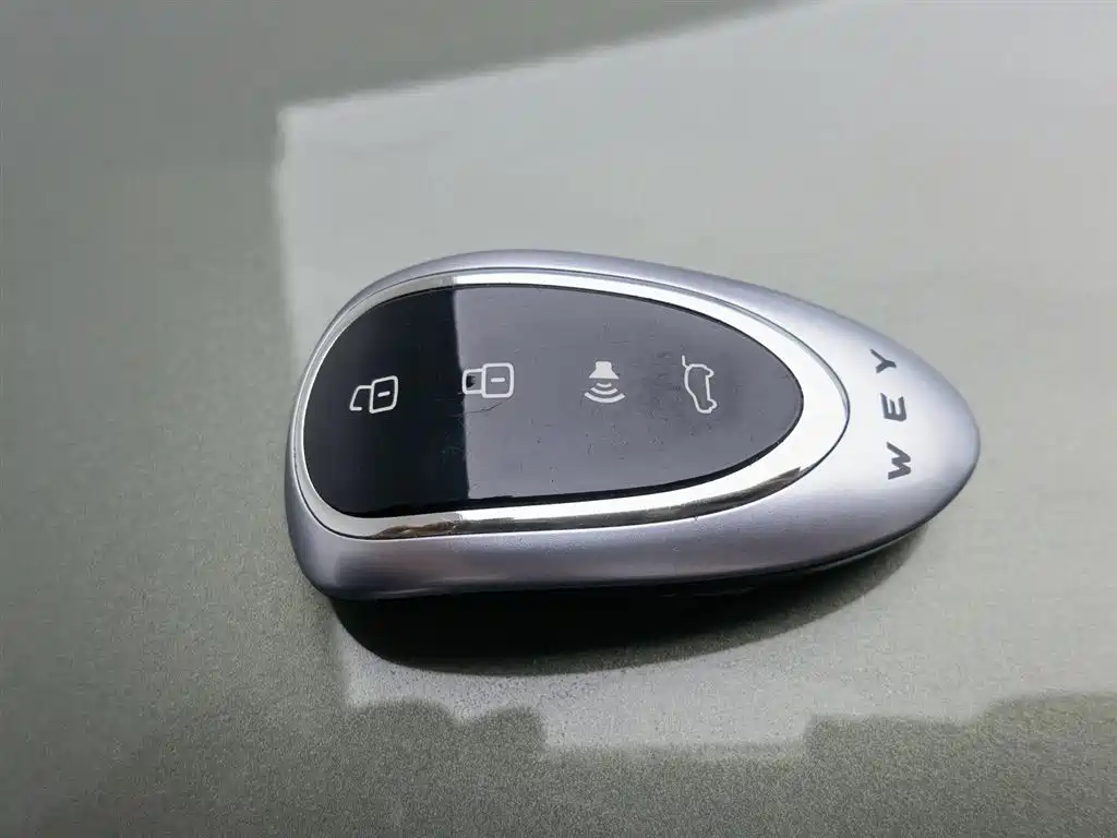 Wei Brand Blue Mountain 2025 Four-wheel Drive Ultra купить на сайте DeffCars