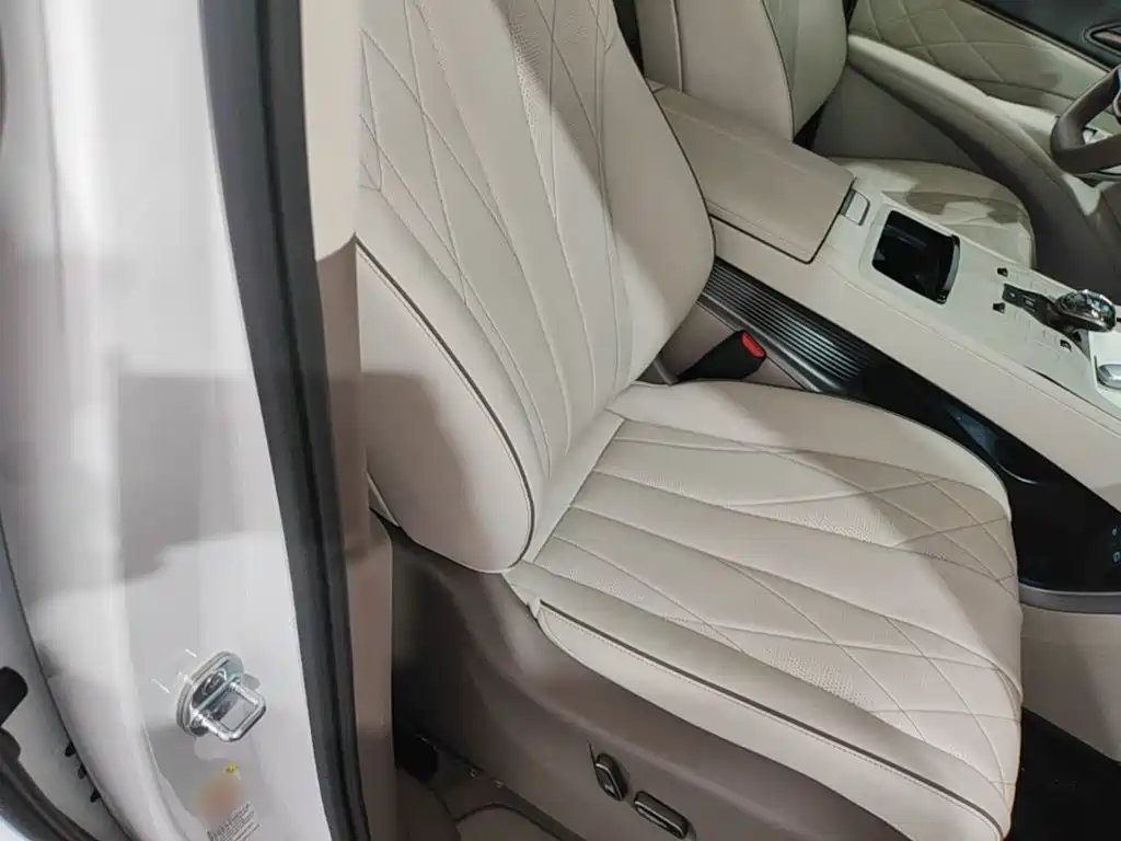 Denza D9 2022 EV 600 four-wheel drive premium model купить на сайте DeffCars
