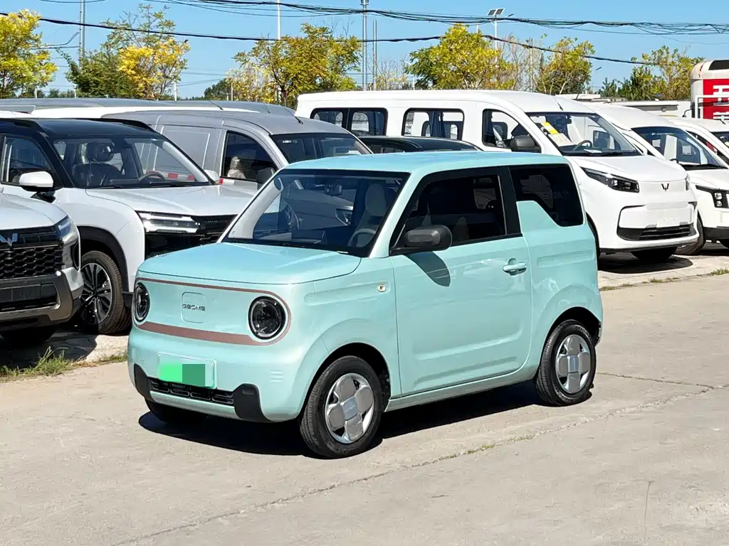 Panda (Geome) 2024 mini 200km Endurance Bear купить на сайте DeffCars