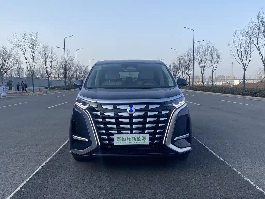 Denza D9 2024 DM-i 980 four-wheel drive flagship model купить на сайте DeffCars