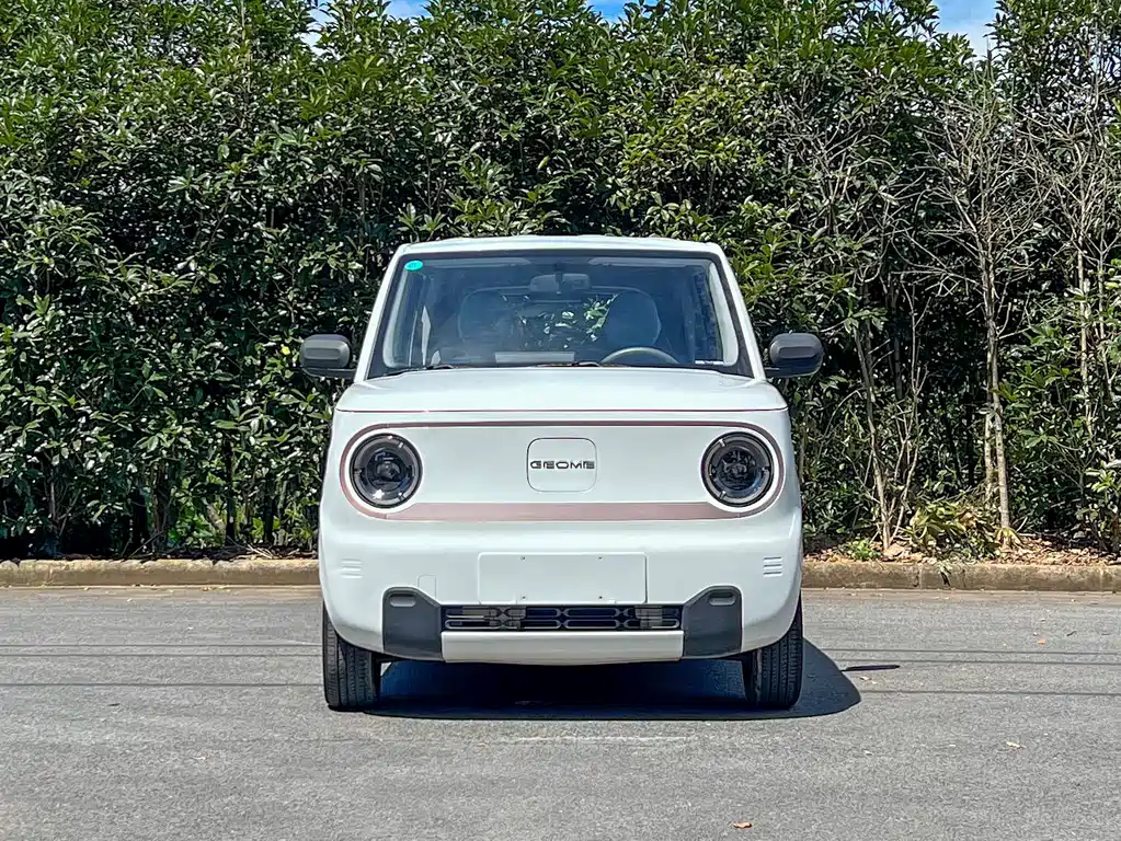 Panda 2023 Panda mini 120km super cute bear купить на сайте DeffCars