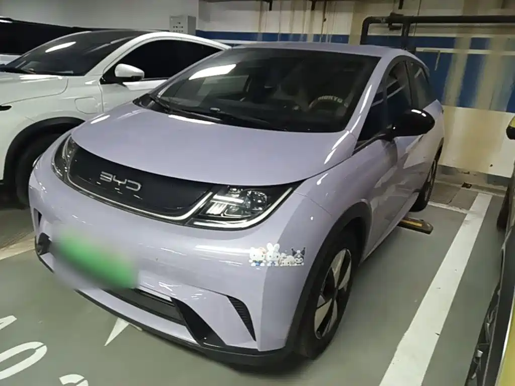 Dolphin 2023 420km Free Edition купить на сайте DeffCars