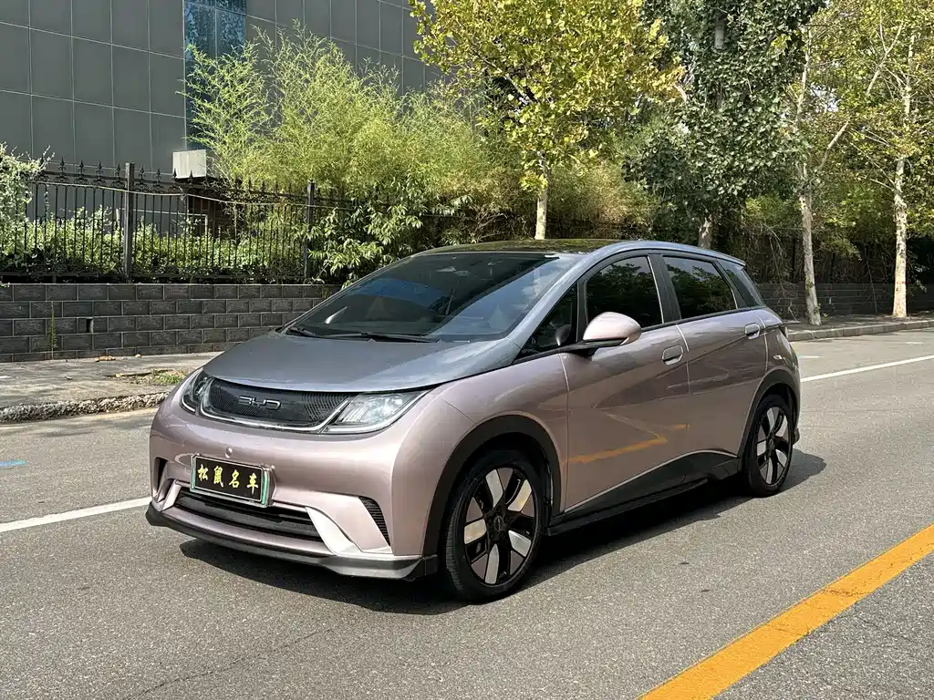 Dolphin 2021 401km Knight Edition купить на сайте DeffCars