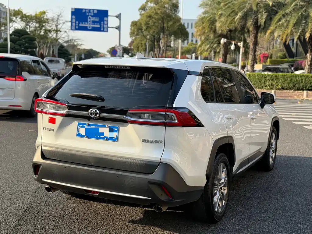 Wilanda 2021 2.0L CVT two-wheel drive luxury version купить на сайте DeffCars
