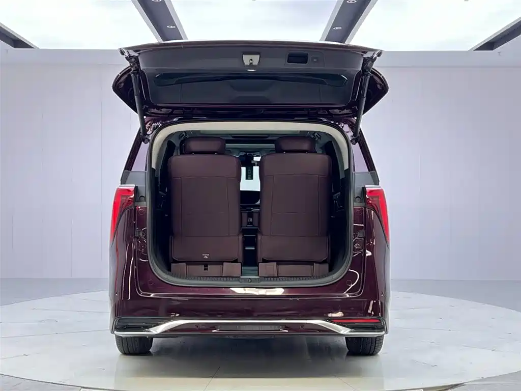 Century 2023 2.0T Six-seater Yuanshi Edition купить на сайте DeffCars