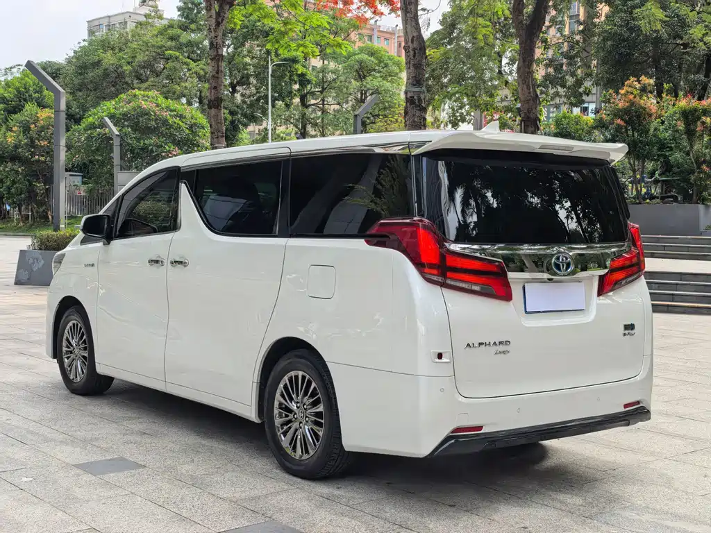 Alfa 2021 Shuangqing 2.5L Premium Edition купить на сайте DeffCars