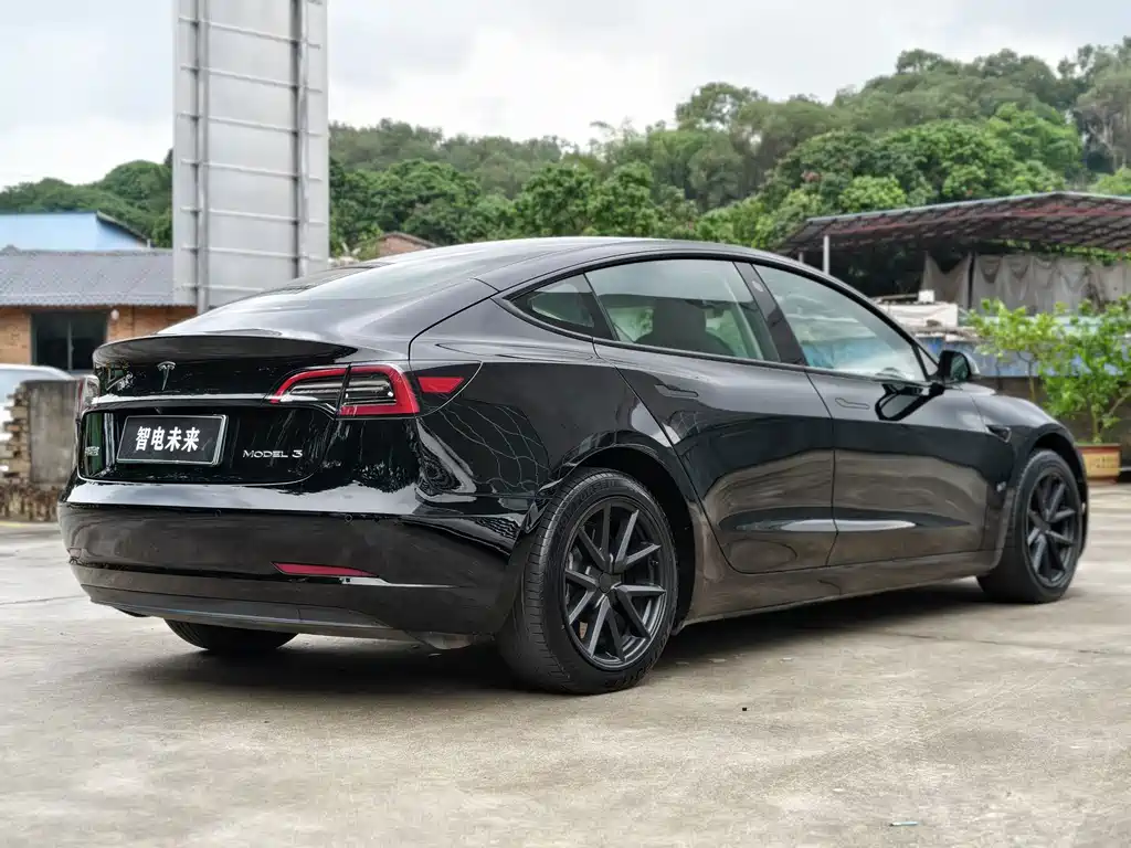 Model 3 2022 rear-wheel drive купить на сайте DeffCars
