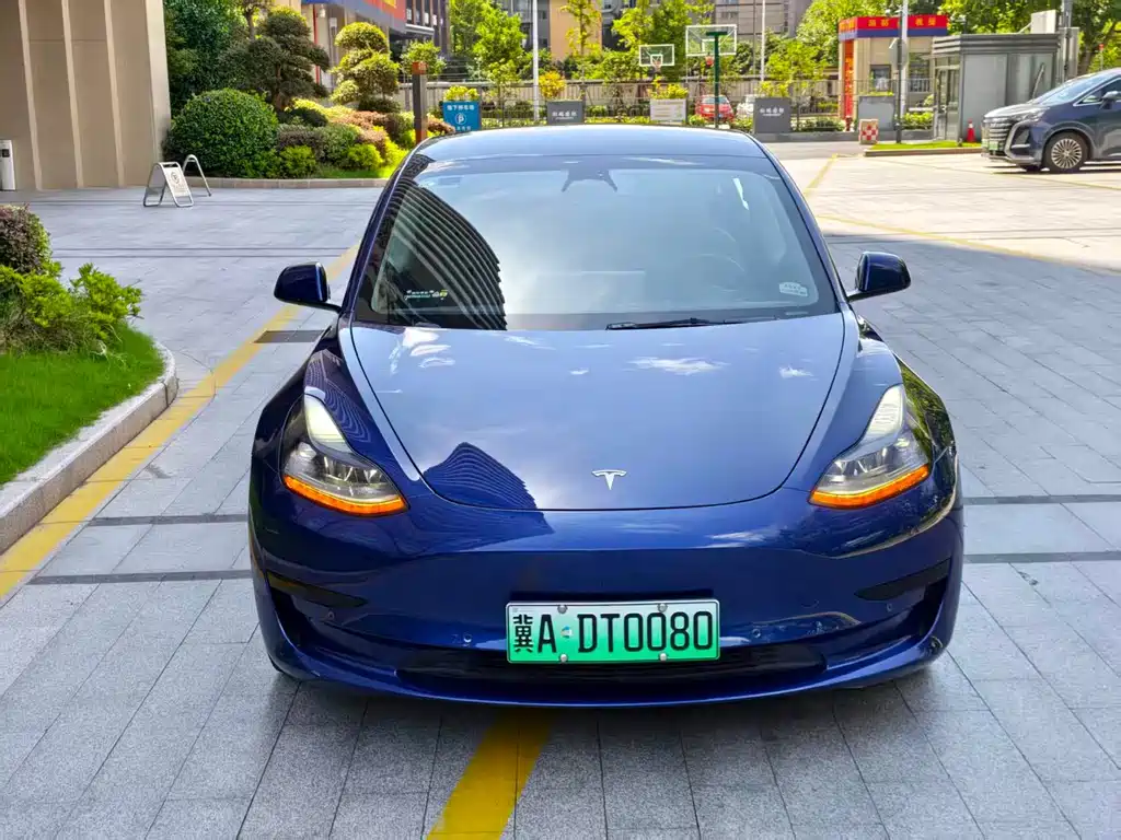Model 3 2022 rear-wheel drive version купить на сайте DeffCars