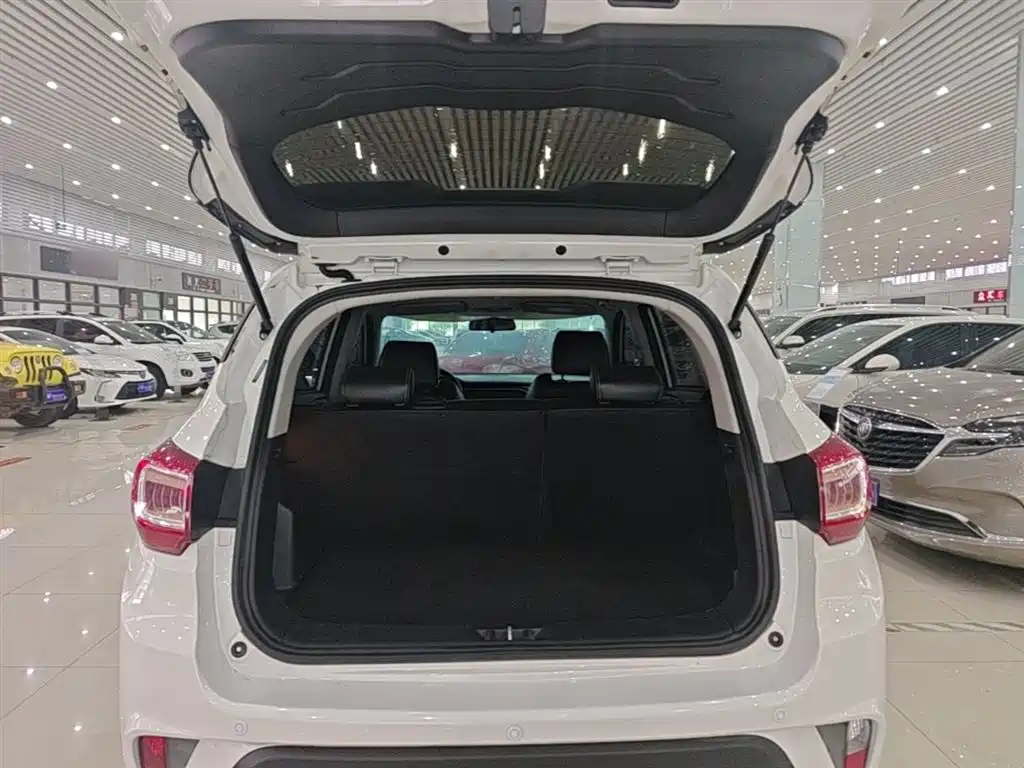 Yizhi EX5 2018 Yuedong type купить на сайте DeffCars
