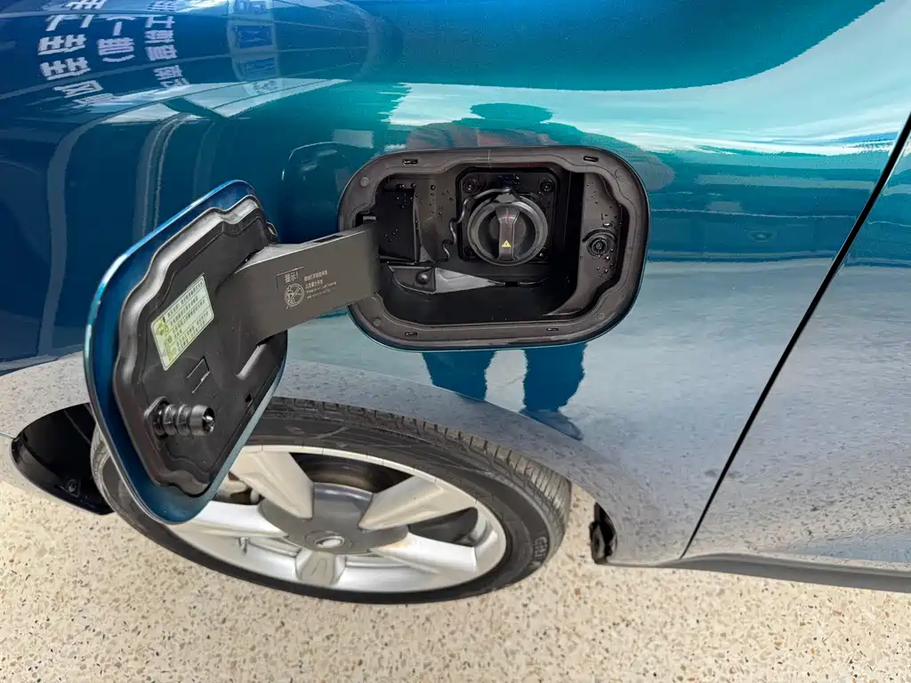 Euler Good Cat 2022 model 400km standard battery life premium type ternary lithium купить на сайте DeffCars