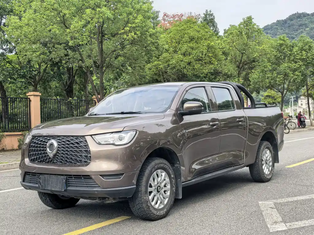 Cannon (Poer) 2019 2.0T Commercial Automatic Gasoline 2WD Elite Long Case GW4C20B купить на сайте DeffCars