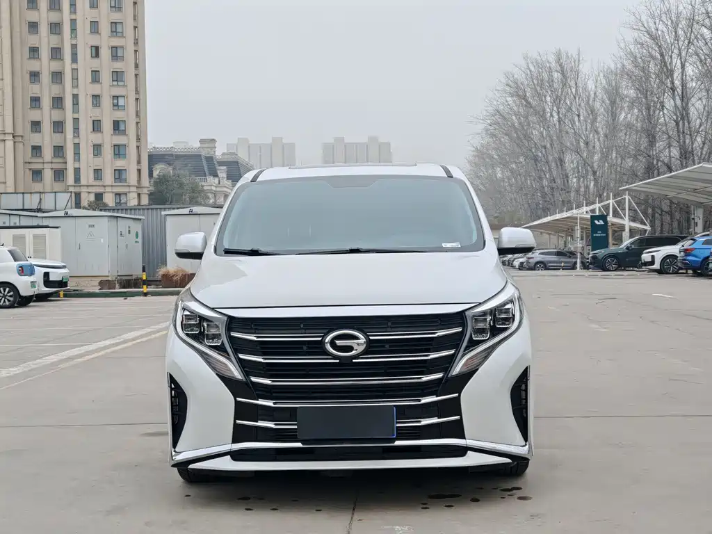 Trumpchi M8 2023 Lead Show Series 390T Exclusive Edition купить на сайте DeffCars