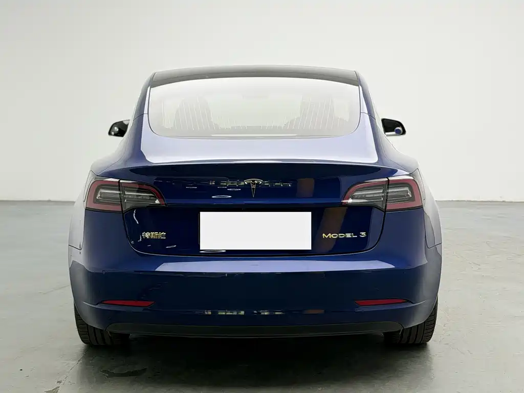 Model 3 2020 Standard Range Rear Drive Upgraded Version купить на сайте DeffCars