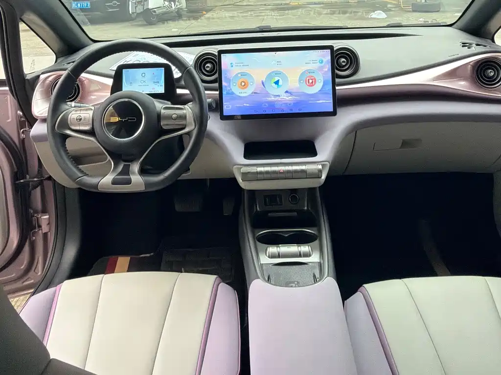 Dolphin 2021 401km Rider Edition купить на сайте DeffCars