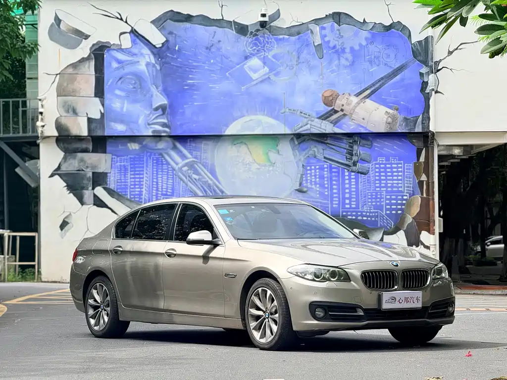 BMW 5 Series 2017 528Li xDrive leading model купить на сайте DeffCars