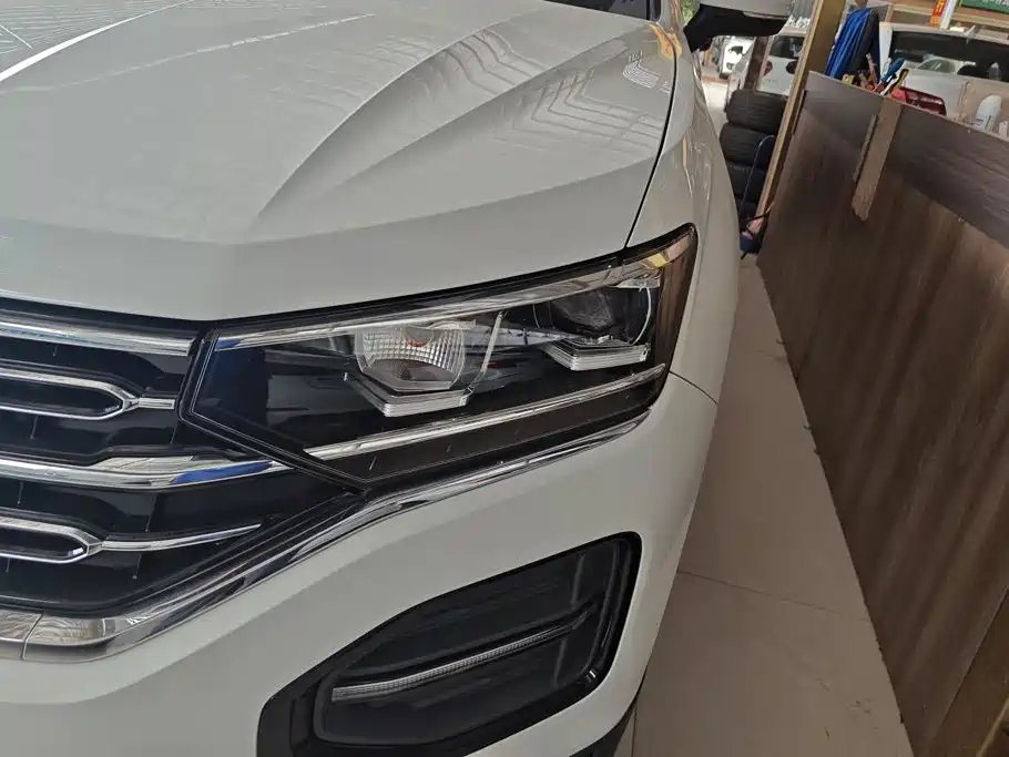 TYRON 2019 330TSI two-wheel drive luxury model, National VI купить на сайте DeffCars