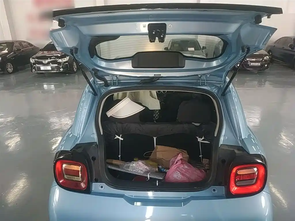 Euler Black Cat 2021 301km basic model купить на сайте DeffCars