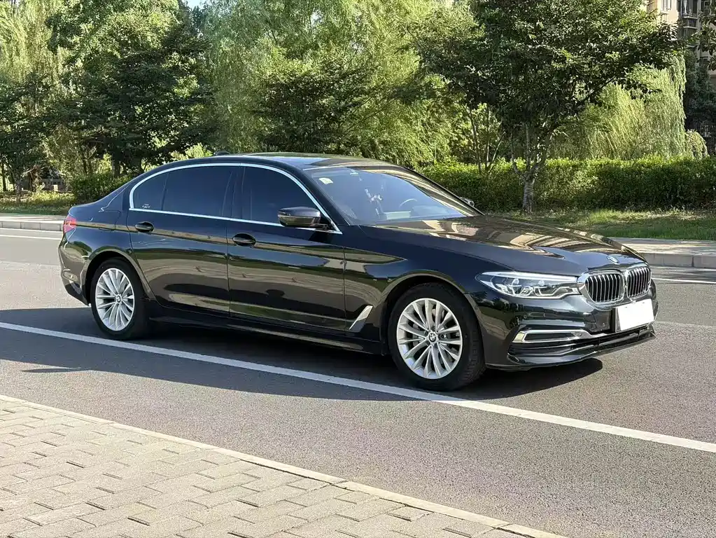BMW 5 Series 2020 530Li Exclusive Luxury Package купить на сайте DeffCars