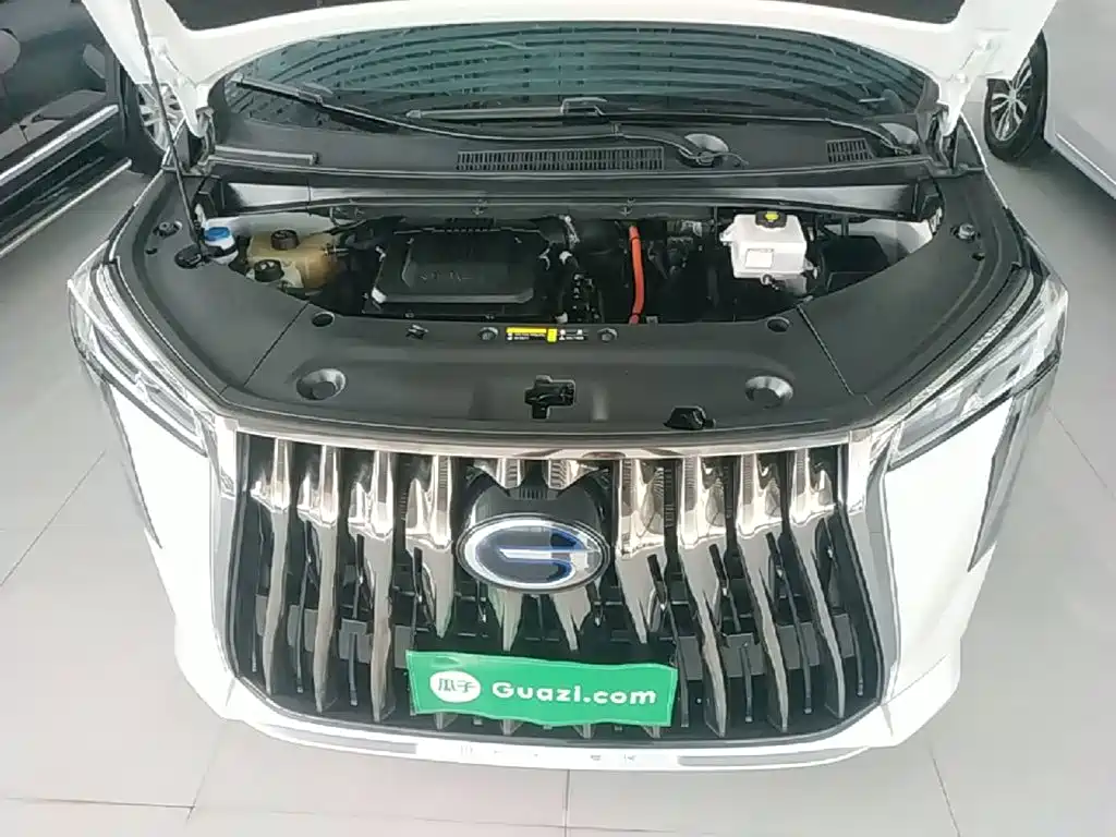 Trumpchi M8 2023 Grandmaster Series Dual Engine Royal Edition купить на сайте DeffCars