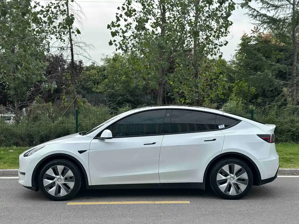 Model Y 2021 standard range rear-wheel drive version купить на сайте DeffCars