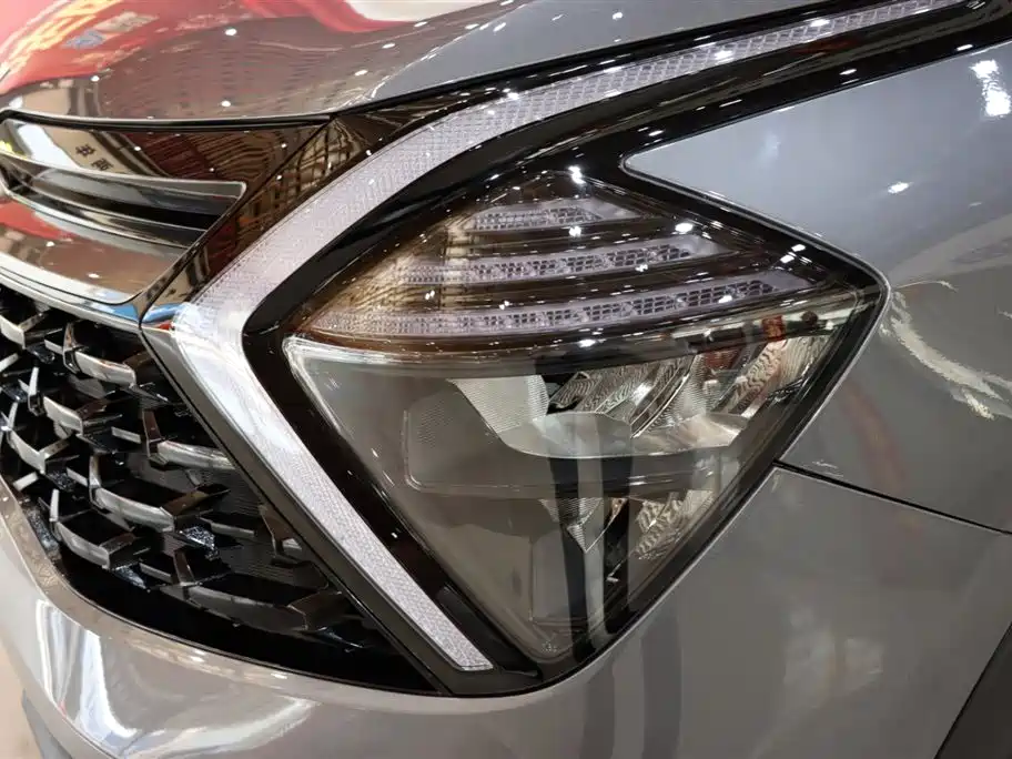 Lion Platinum Extension 2023 2.0T two-wheel drive premium version купить на сайте DeffCars