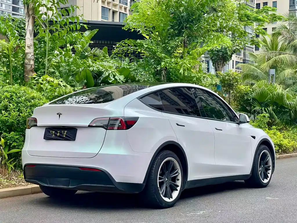 Model Y 2021 standard range rear-wheel drive version купить на сайте DeffCars