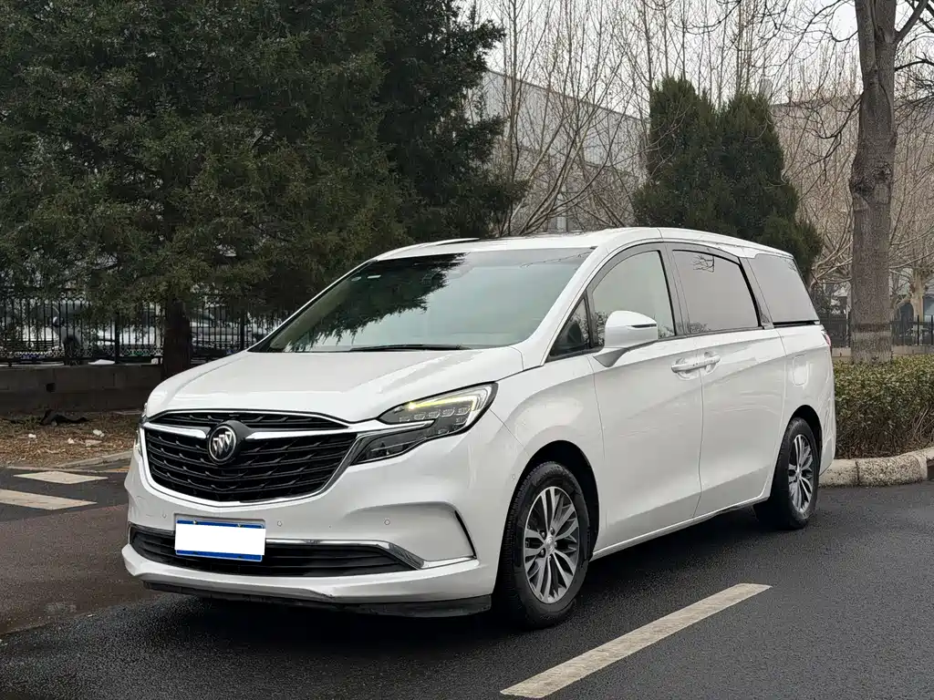 Buick GL8 2020 ES Lu Zun 653T Exclusive Type купить на сайте DeffCars