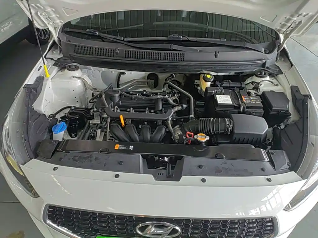 Reina 2017 1.4L automatic jump version, National VI купить на сайте DeffCars
