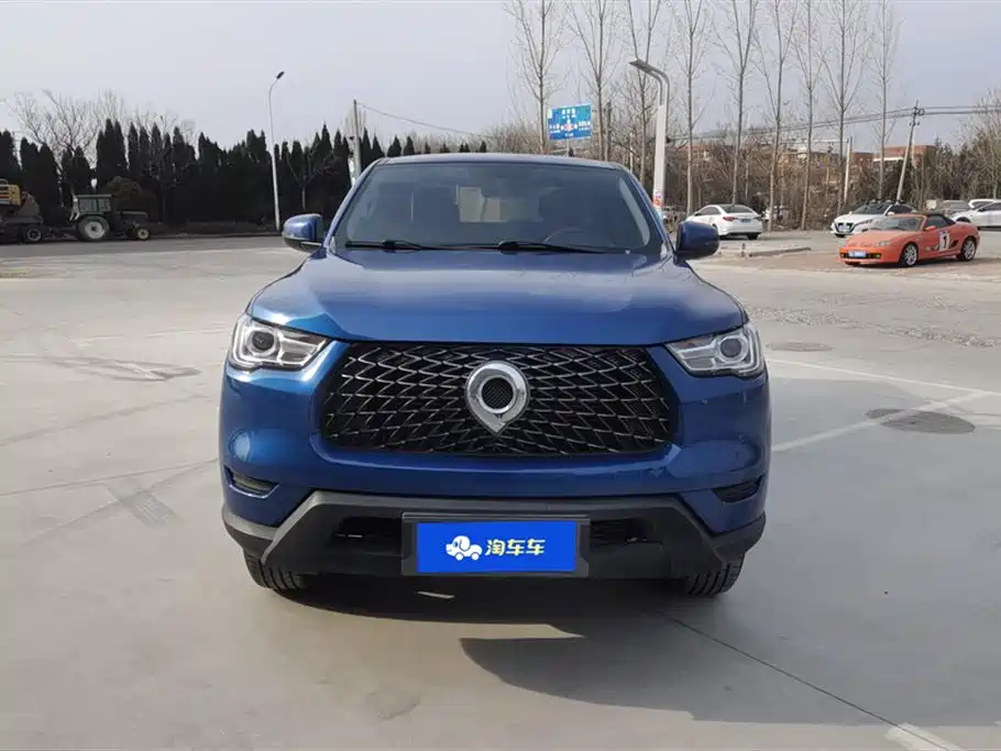 Cannon 2021 2.0T commercial version automatic diesel two-wheel drive elite long box GW4D20M купить на сайте DeffCars