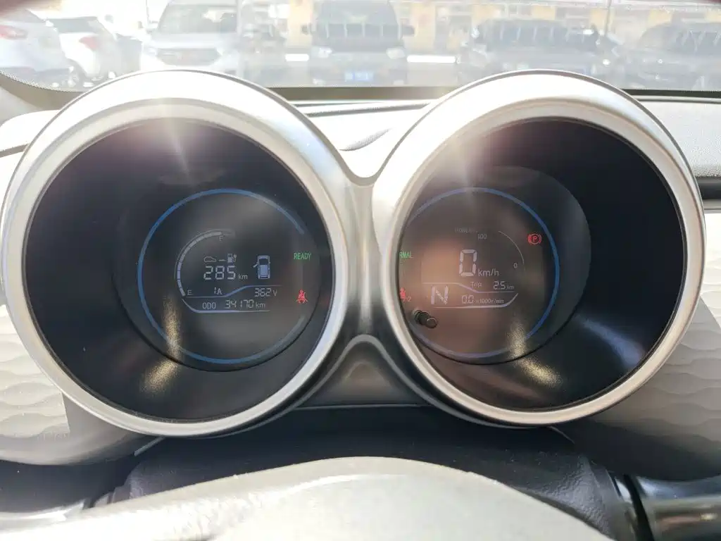 Euler Black Cat 2021 301km Cute Pet Edition купить на сайте DeffCars