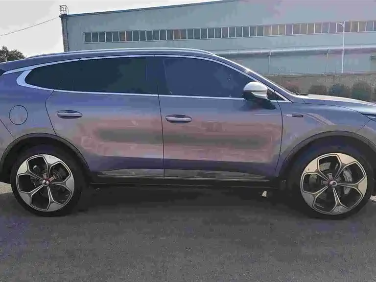 Denza X 2020 PHEV flagship version купить на сайте DeffCars