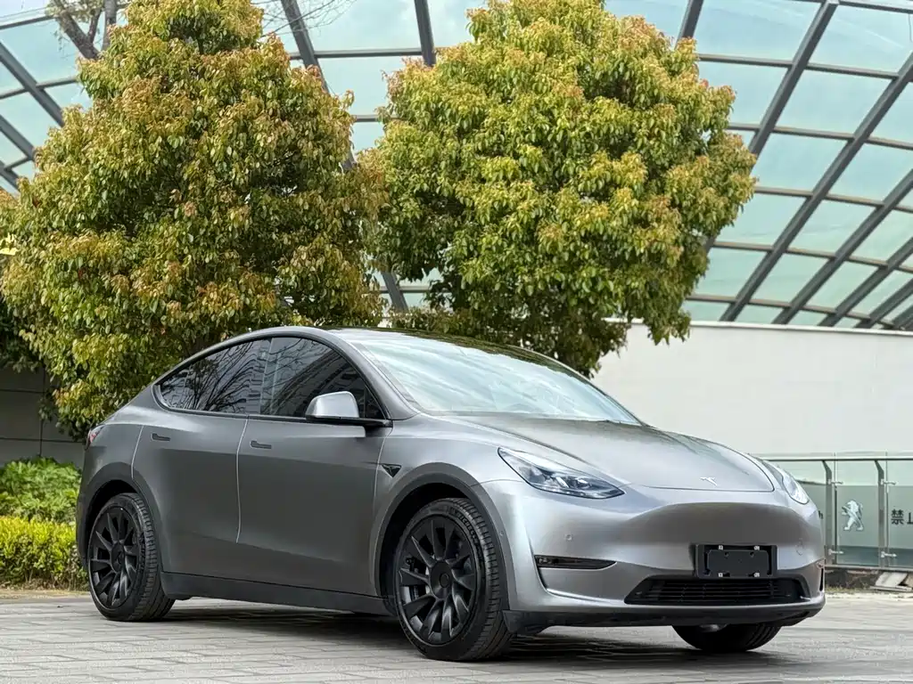 Model Y 2021 standard range rear-wheel drive version купить на сайте DeffCars