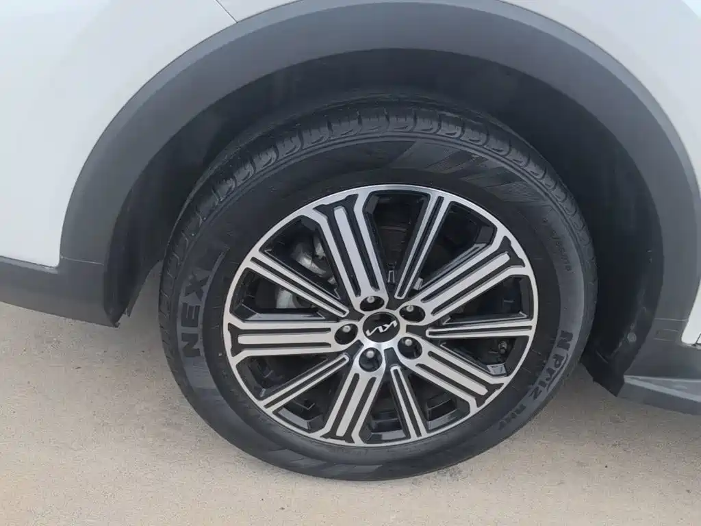 Zhipao 2021 Ace 2.0L Wonderful Edition купить на сайте DeffCars
