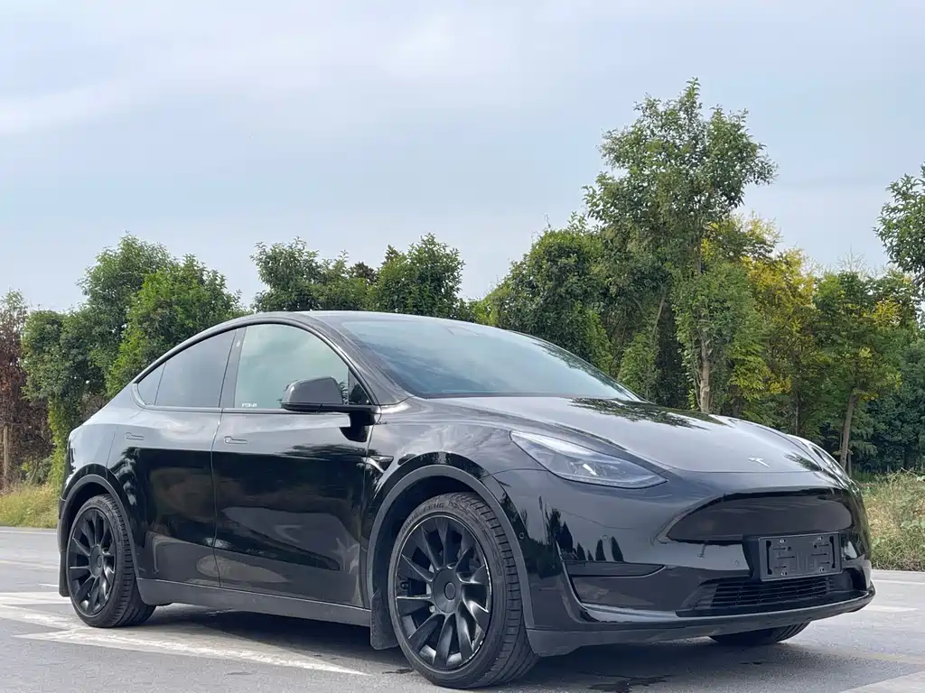 Model Y 2022 rear-wheel drive version купить на сайте DeffCars