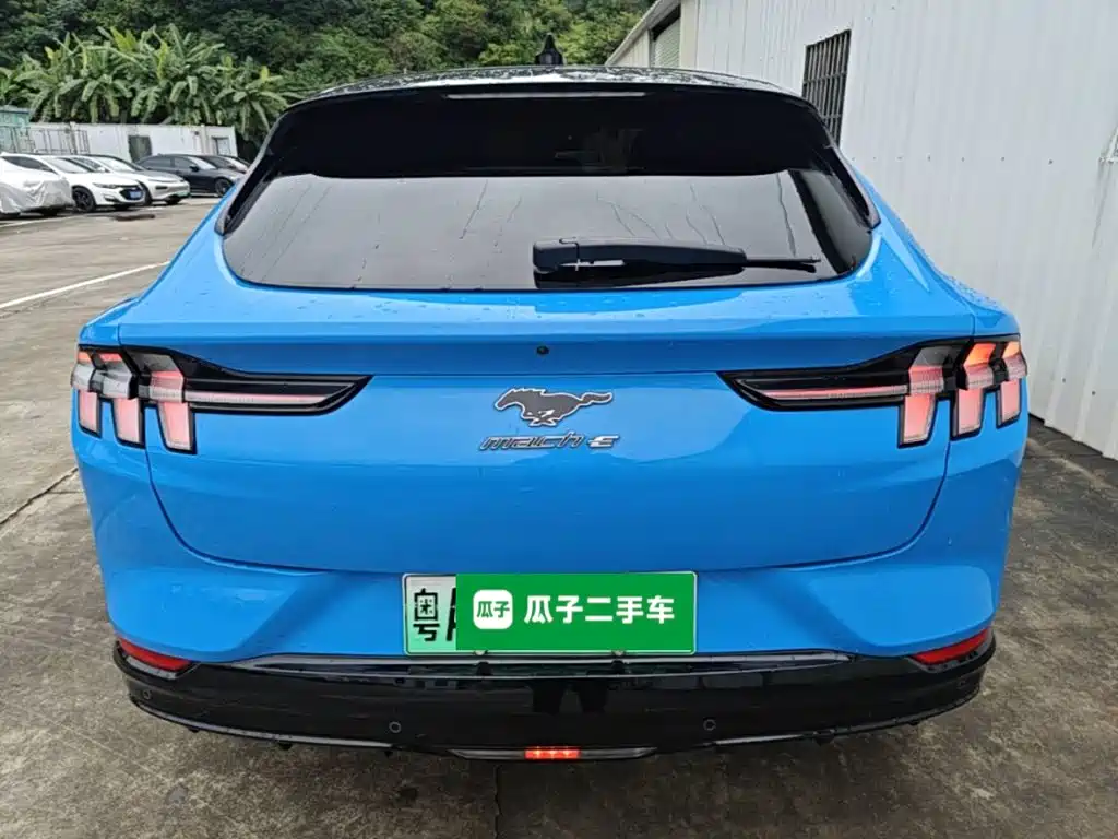 2021 Ford Mustang Mach-E Long Range Rear-Wheel Drive купить на сайте DeffCars