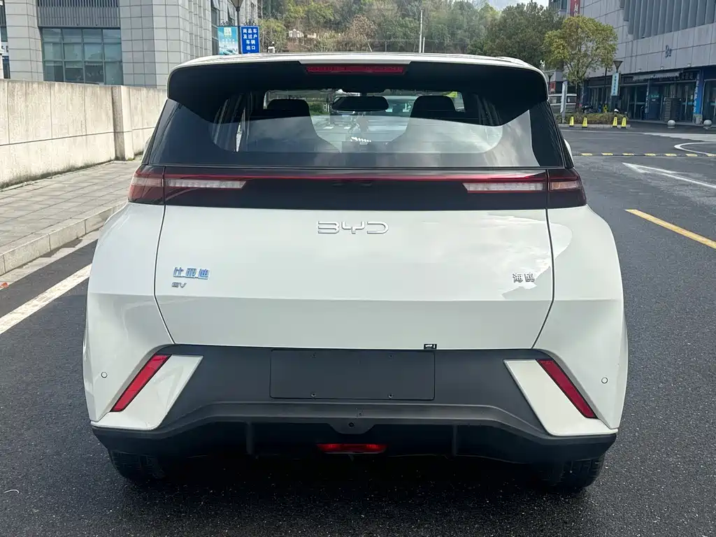 Seagull 2024 Honor Edition 305km Vitality Edition купить на сайте DeffCars