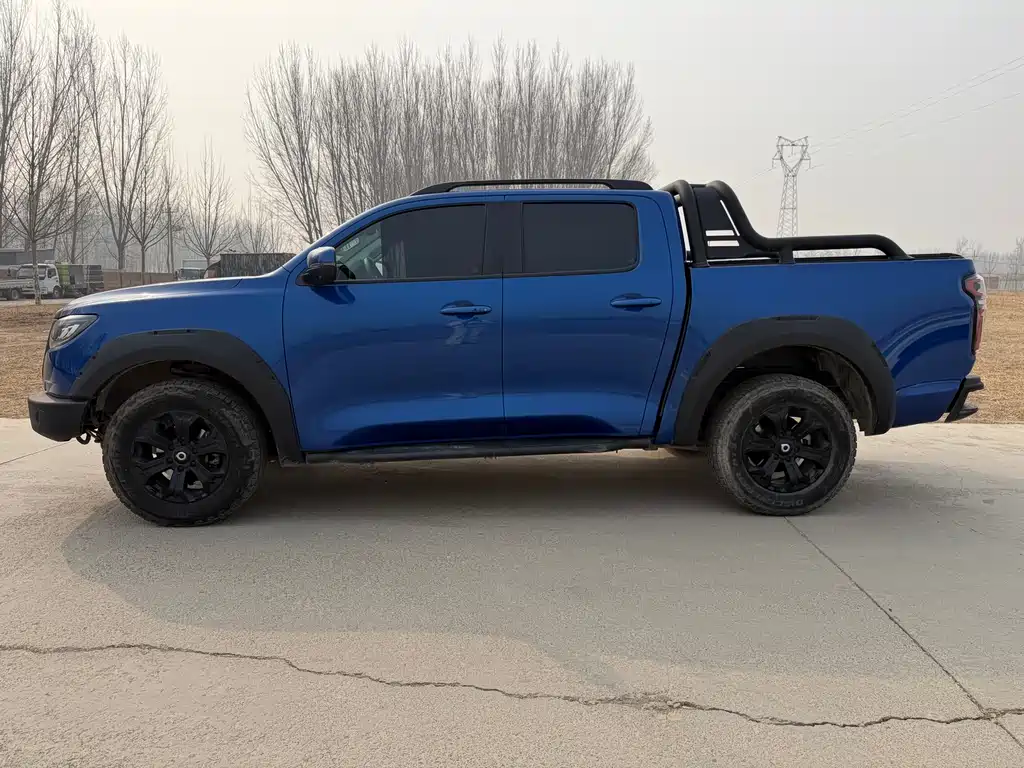 Cannon 2021 2.0T off-road version automatic gasoline four-wheel drive Everest version GW4C20B купить на сайте DeffCars