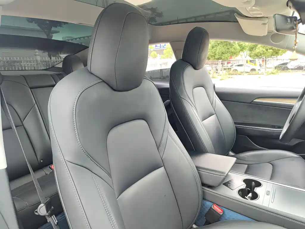 Model 3 2022 rear-wheel drive version купить на сайте DeffCars