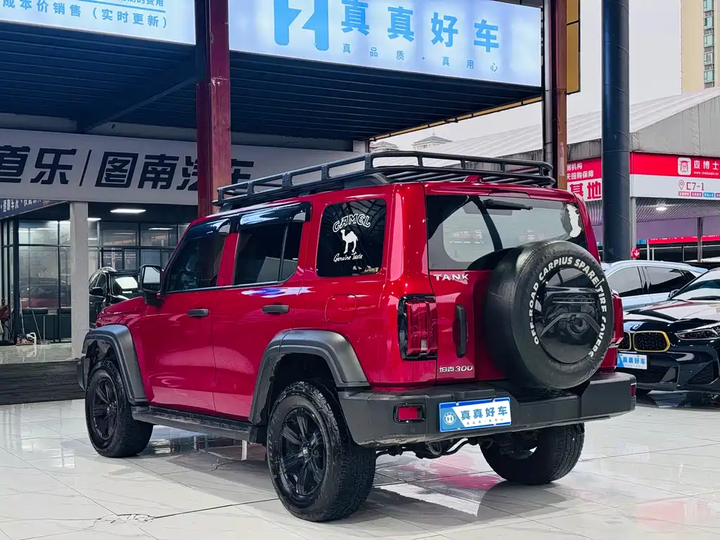 Tank 300 2021 Off-Road Version 2.0T Conqueror купить на сайте DeffCars