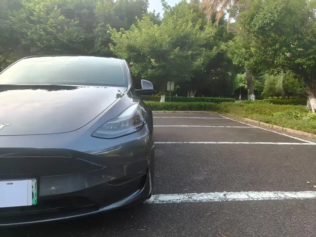 Model Y 2021 Long Range All-Wheel Drive Edition купить на сайте DeffCars