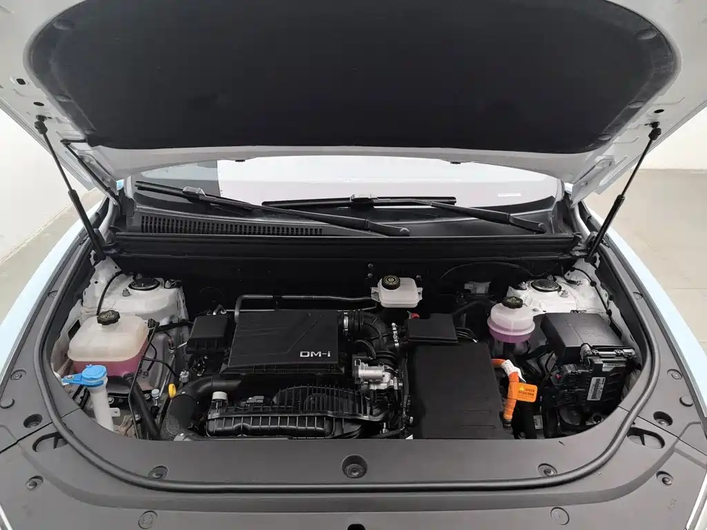 Song Pro New Energy 2023 Champion Edition DM-i 110KM Transcendent Type купить на сайте DeffCars
