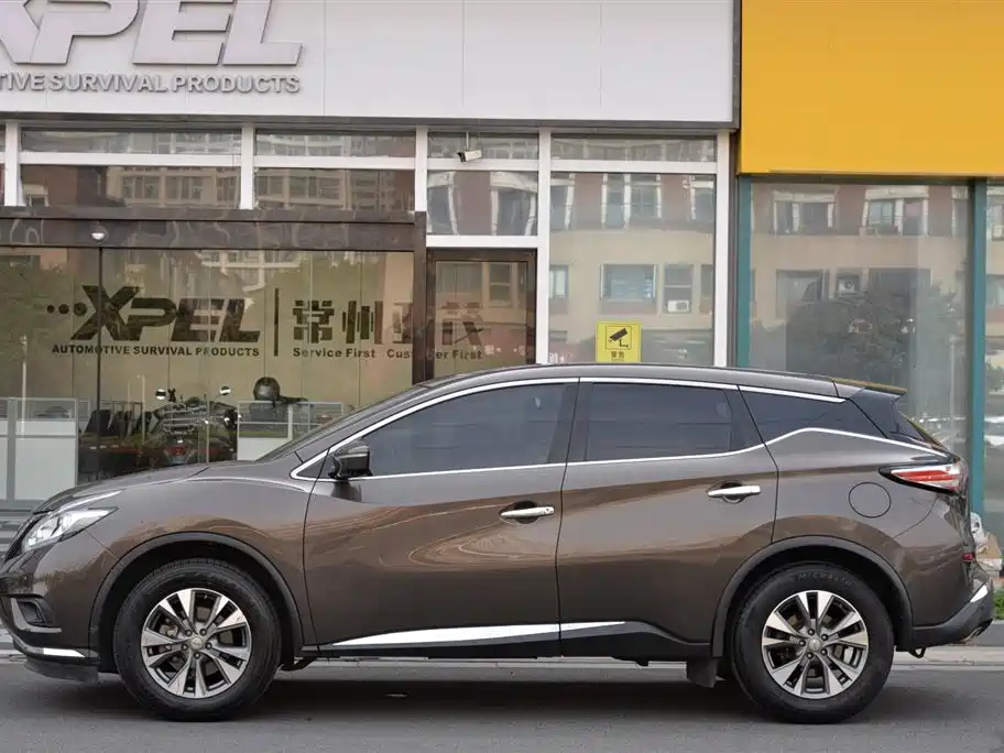 Loulan 2019 2.5L XL 2WD Intelligent Luxury Edition National V купить на сайте DeffCars