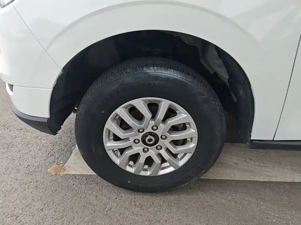 Cannon (Poer) 2019 2.0T Commercial Manual Diesel 2WD Elite Long Case GW4D20M купить на сайте DeffCars