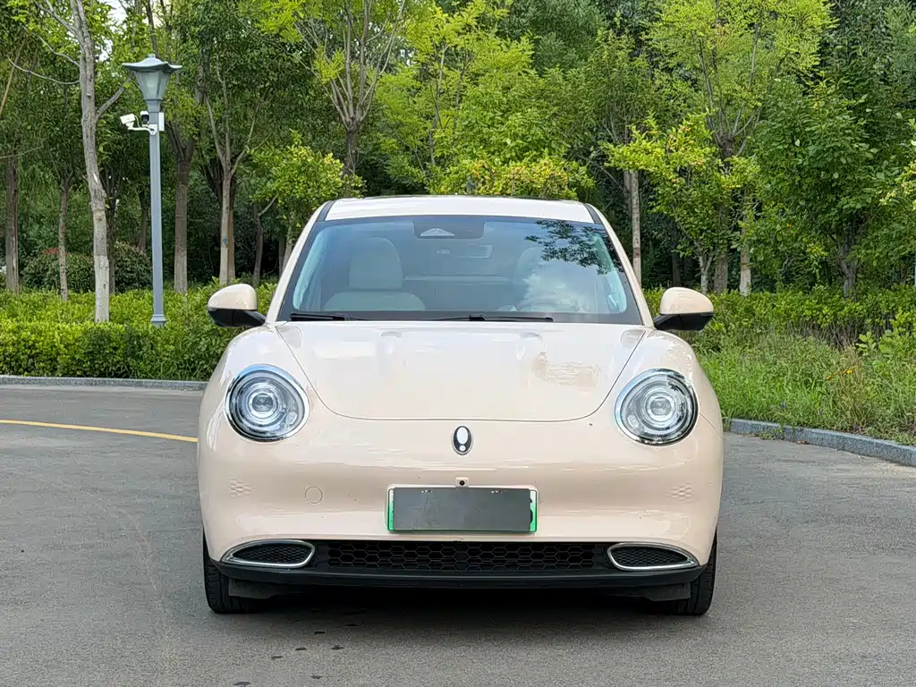 Ora Good Cat GT 2023 Magnolia 401km Honor Edition купить на сайте DeffCars