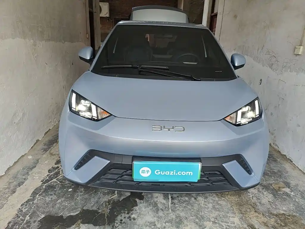 Seagull 2024 Honor Edition 305km Free Edition купить на сайте DeffCars