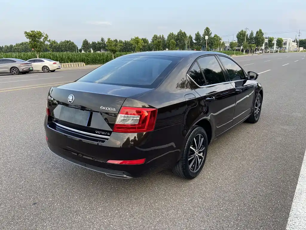 Octavia 2017 1.6L automatic Senova Zhixing version купить на сайте DeffCars