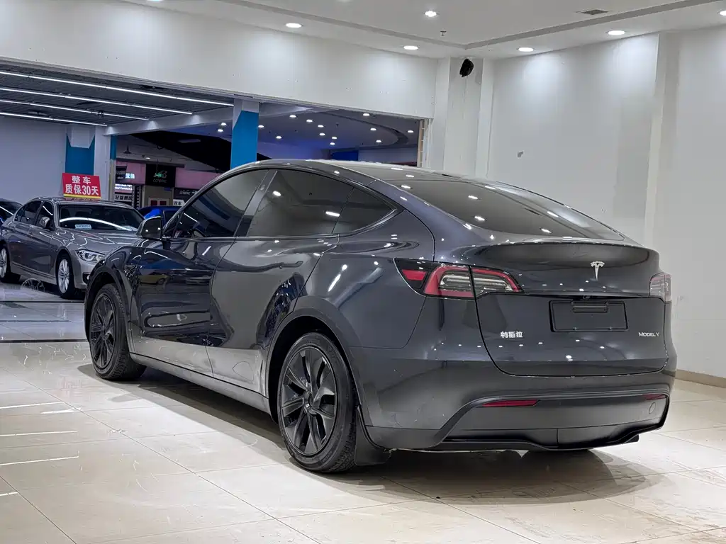 Model Y 2024 rear-wheel drive version купить на сайте DeffCars