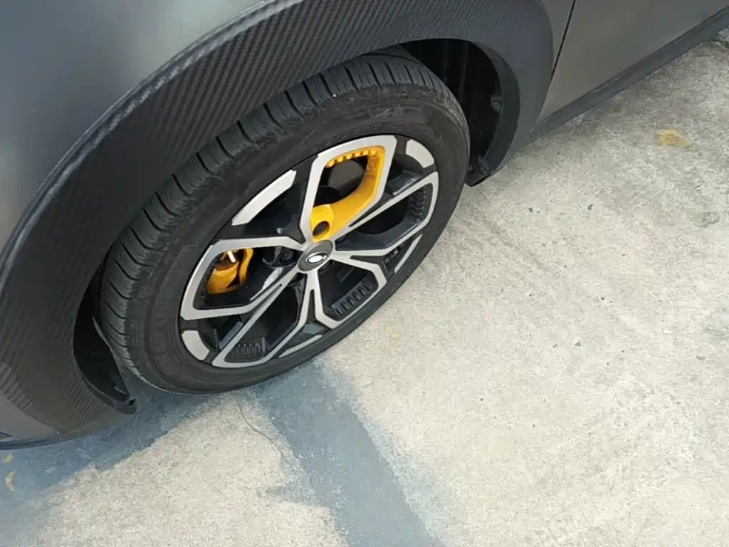 Euler Good Cat GT 2023 Mulan Edition 401km Premium Type купить на сайте DeffCars