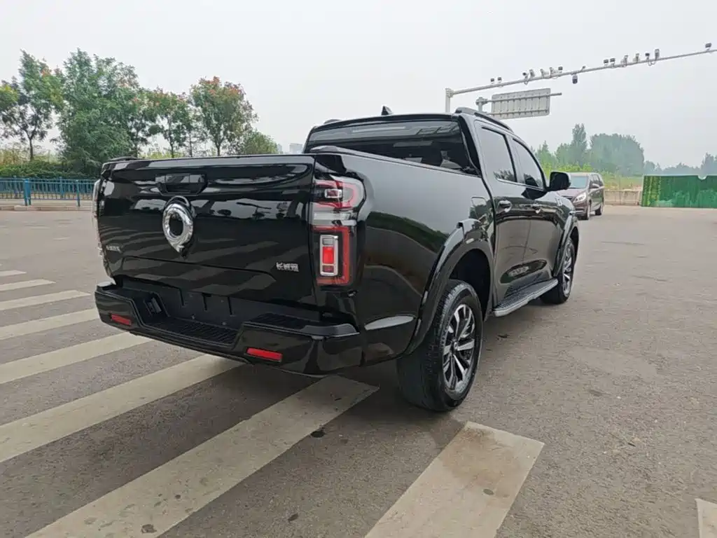 Cannon 2023 2.0T passenger version automatic diesel four-wheel drive sports model GW4D20M купить на сайте DeffCars