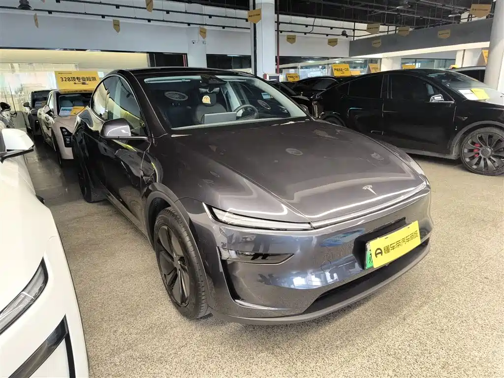 Model Y 2025 rear-wheel drive version купить на сайте DeffCars